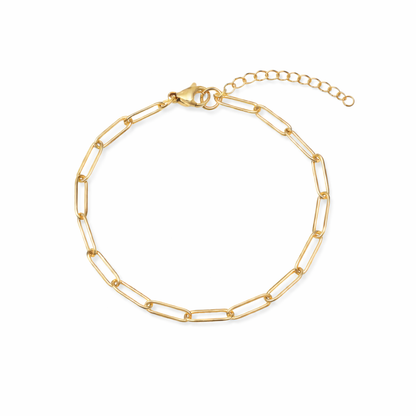 18k gold plated paperclip chain bracelet, water & tarnish proof packshot