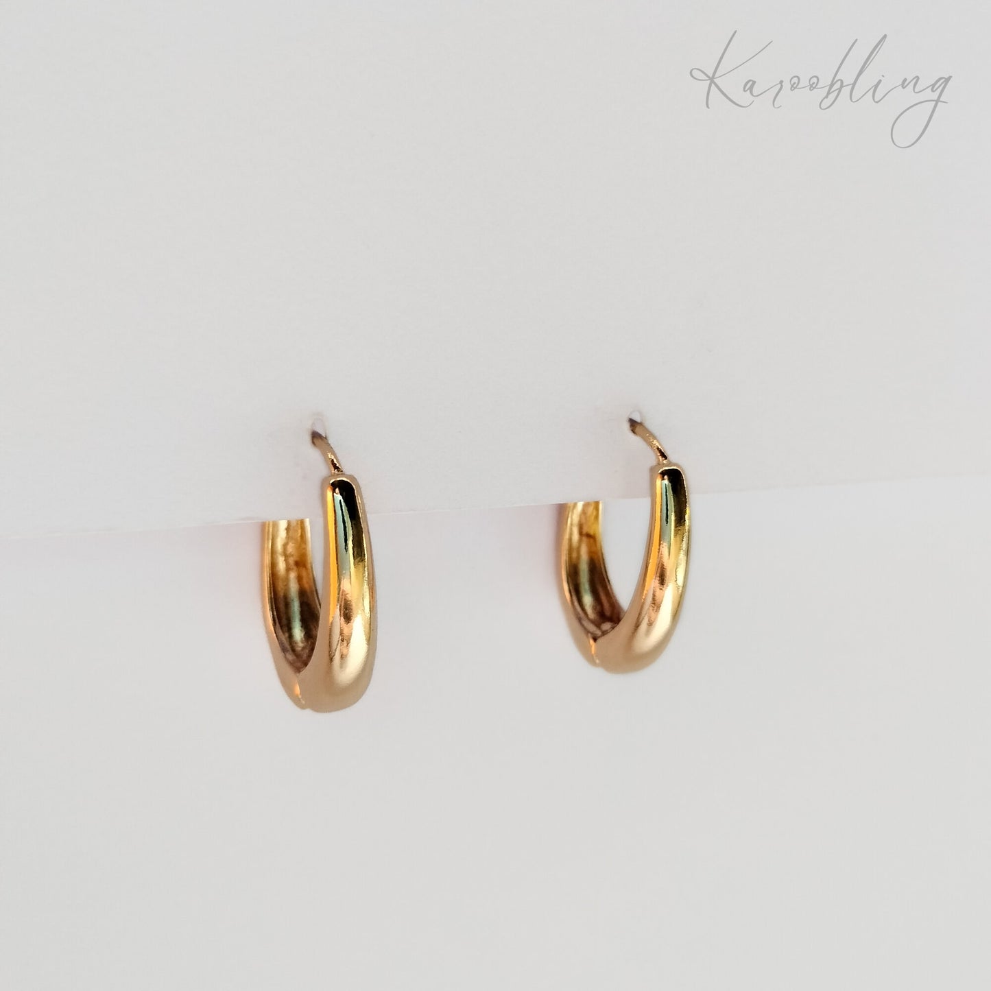 Oval Hoop Earrings